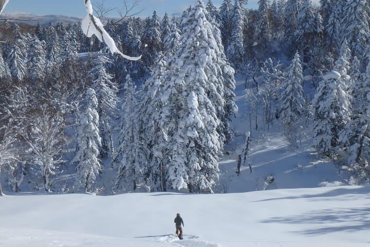 Snowshoe Hike Tour from Sapporo include hotel p/up & drop off — photo 2