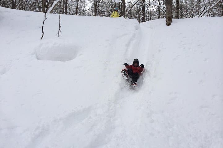 Snowshoe Hike Tour from Sapporo include hotel p/up & drop off — photo 6