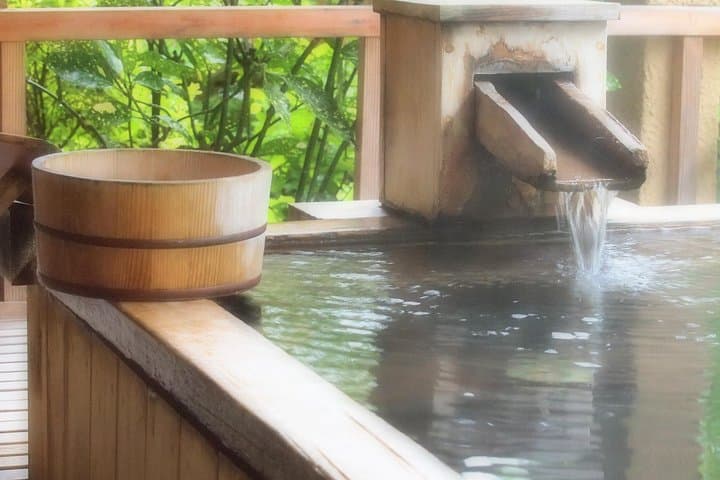 Private Car Day Trip to the Kobe Mountains, Gardens and Hot Springs from Osaka — photo 3