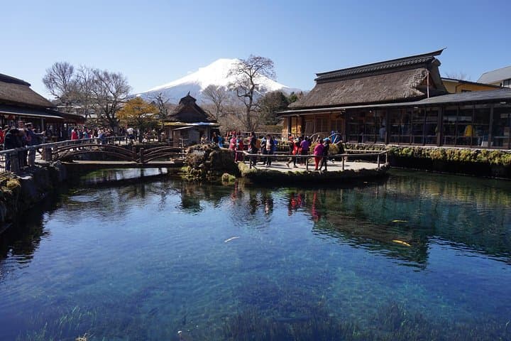 Spectacular Mt. Fuji and Lake Cruise, Noodles Making Experience — photo 19
