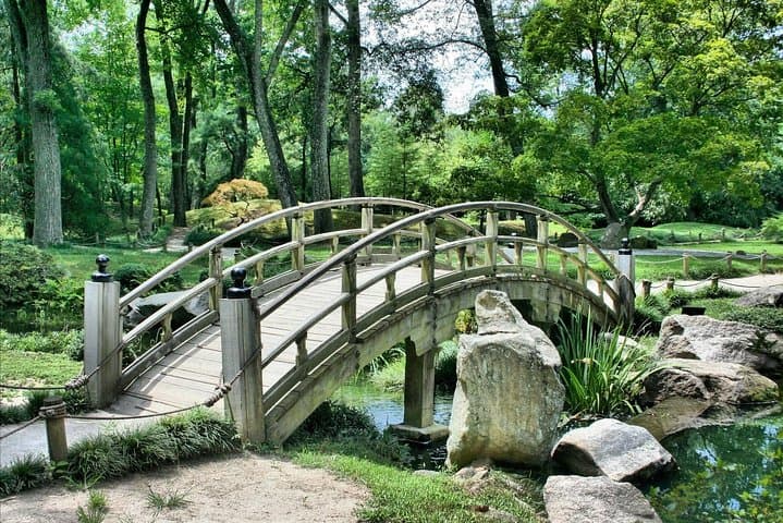 Tokyo Private Cherry Blossom Tour with a Local – Picnic Included — photo 18
