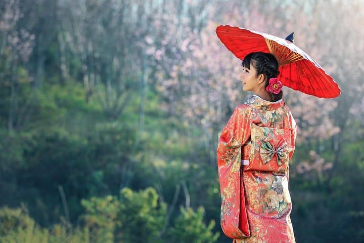 Tokyo Private Cherry Blossom Tour with a Local – Picnic Included — photo 14
