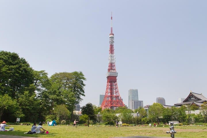 8-hour Tokyo tour by qualified tour guide using public transport — photo 4