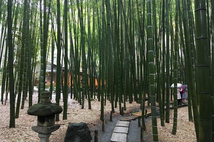 Exciting Kamakura - One Day Tour from Tokyo — photo 5