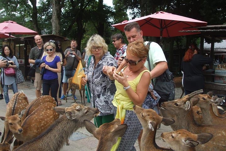 Exploring Nara — photo 5