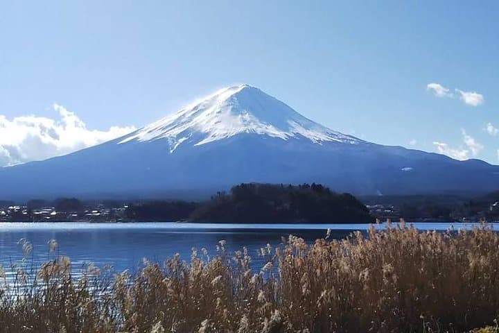 Mt. Fuji Day Tour by Private Minivan with Licensed Tour Guide and Driver — photo 1