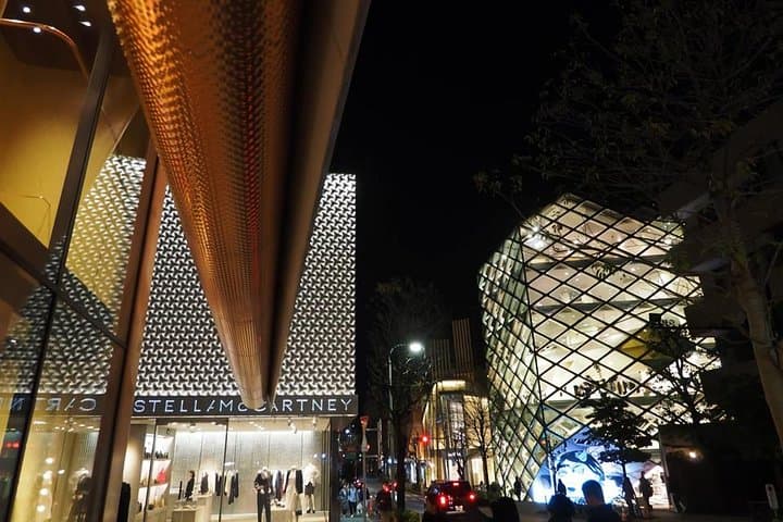 Private Harajuku Omotesando Architecture Walking Tour — photo 3
