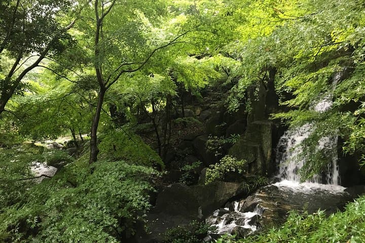 Guided Half-day Tour(AM) to Nagoya Castle & Tokugawa Museum and Garden — photo 9