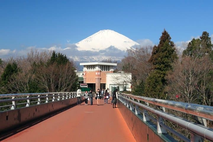 Tokyo: Mt. Fuji, Oshino Hakkai and Gotemba Outlets 1-Day Bus Tour — photo 18
