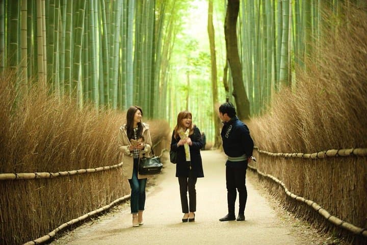 Kyoto Sagano Insider: Rickshaw and Walking Tour — photo 5