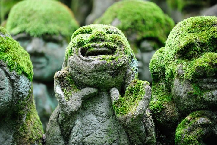 Kyoto Sagano Insider: Rickshaw and Walking Tour — photo 8