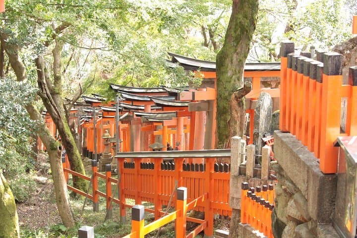 Inside of Fushimi Inari - exploring and lunch with locals — photo 7