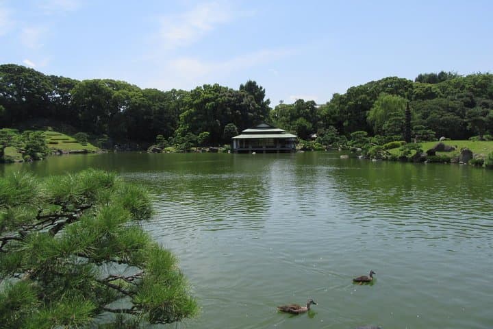 Tokyo by Bike: Skytree, Kiyosumi Garden and Sumo Stadium — photo 3