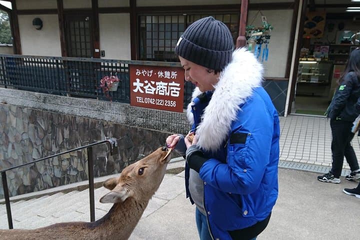 Nara Todaiji Lazy Bird Walking Tour — photo 11