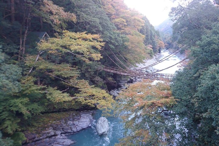 Iya Valley BROMPTON Slow Cycling Tour — photo 3