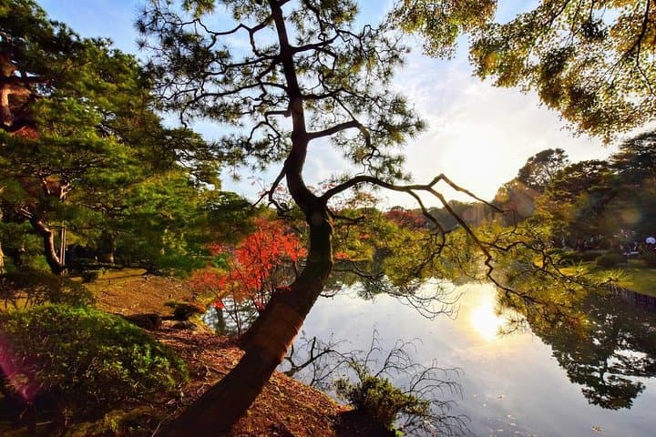 Tokyo Photogenic spots visiting tour — photo 4