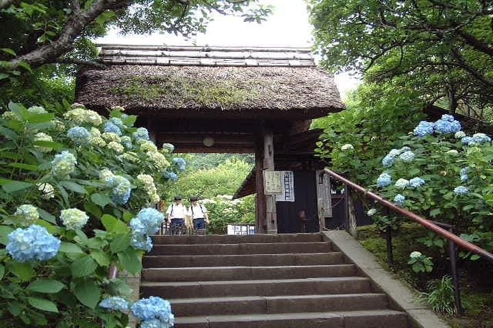 Kamakura 8 hr Private Walking Tour with Licensed Guide from Tokyo — photo 7