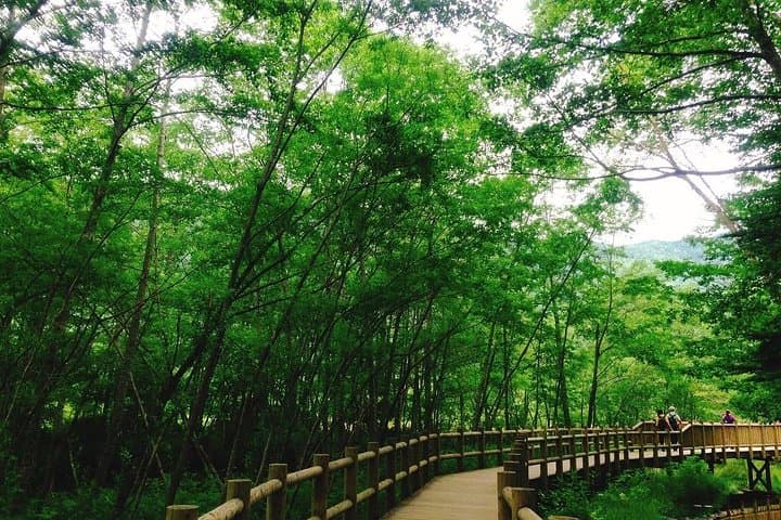 Kamikochi Mountain Day Trip from Nagoya — photo 6