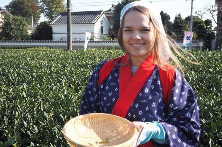 Experience Seasonal Green Tea Picking in Sayama and Nostalgic Walk in Kawagoe! — photo 3