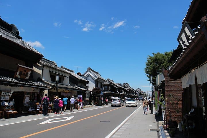 Experience Seasonal Green Tea Picking in Sayama and Nostalgic Walk in Kawagoe! — photo 5