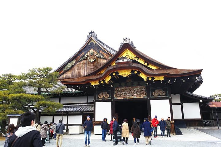 Kyoto Imperial Palace and Nijo Castle Walking Tour — photo 8