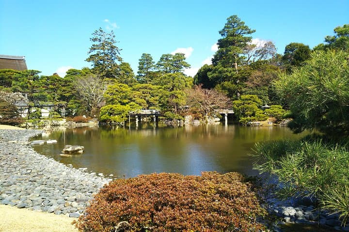 Kyoto Imperial Palace and Nijo Castle Walking Tour — photo 11
