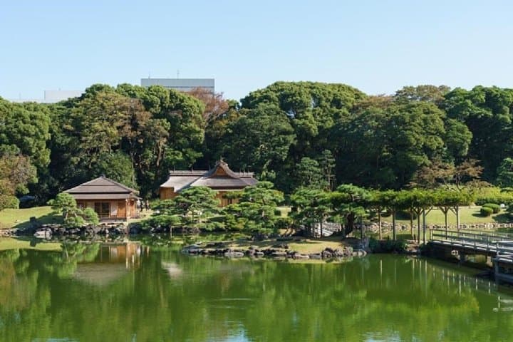 Private Chartered Taxi Tour of Tokyo — photo 3