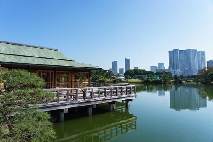 Private Chartered Taxi Tour of Tokyo — photo 4