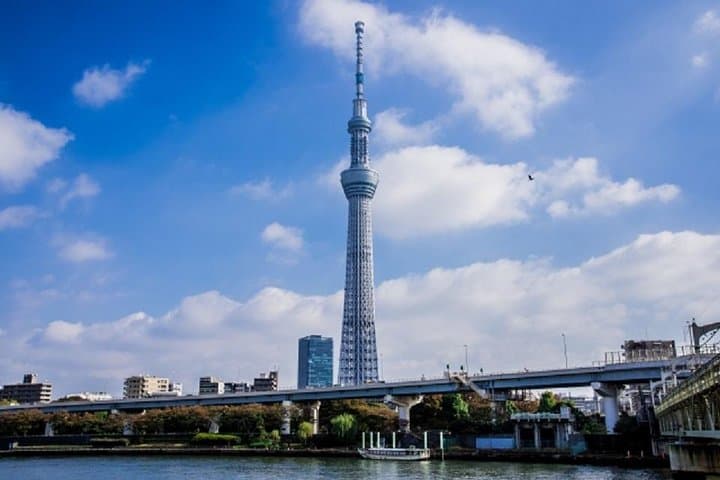 Private Chartered Taxi Tour of Tokyo — photo 5