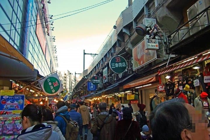 Private Walking Tour of Tokyo with a water bus ride — photo 8