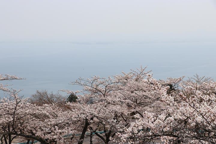 Kyoto country side scooter tour — photo 11