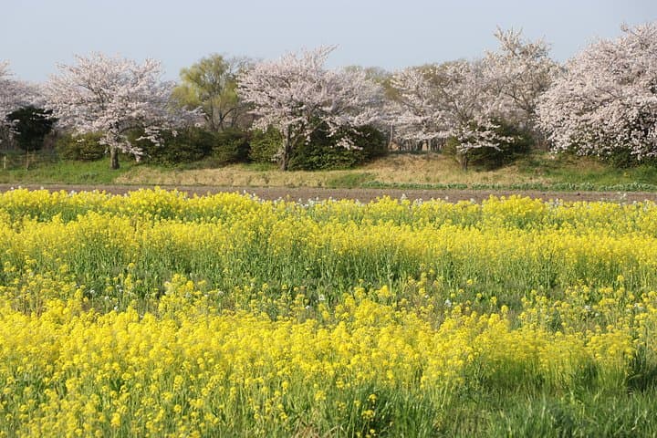 Kyoto country side scooter tour — photo 2