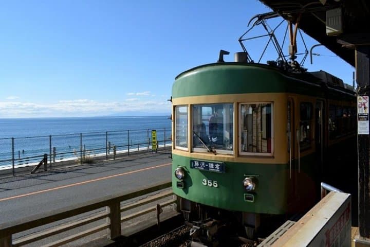 Kamakura Bamboo Forest and Great Buddha Private Tour — photo 5