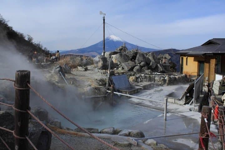 Hakone Full-Day Private Tour By Public Transportation — photo 6