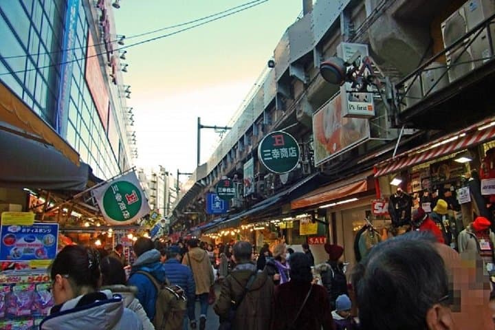 Private Tokyo Custom Walking Tour with a water bus ride — photo 13
