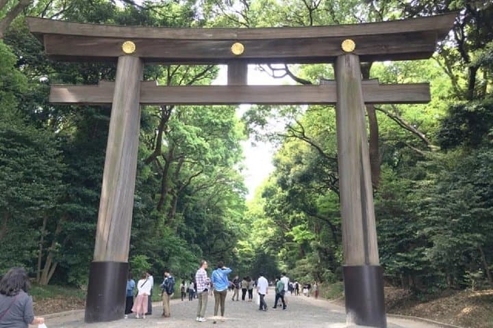 Tokyo Private Tour to Learn History and Shinto — photo 14