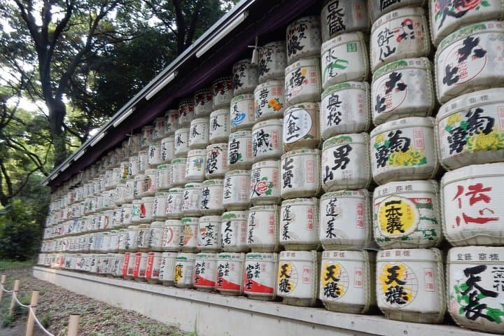 Private Tokyo Custom Walking Tour with a water bus ride — photo 4