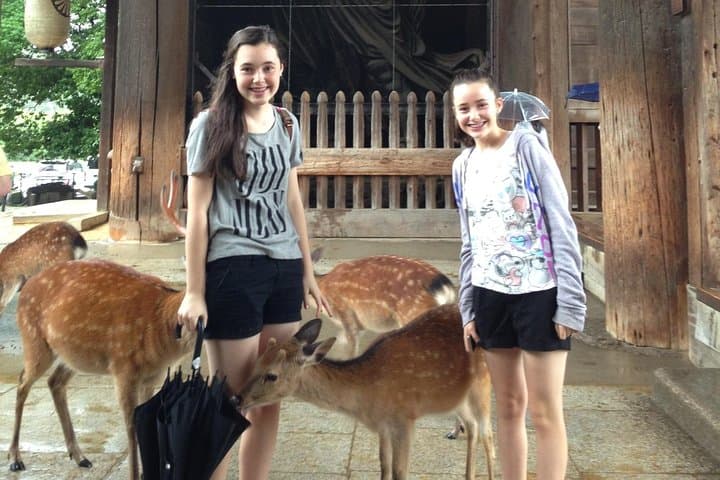 Nara private tour (Shore excursion available from Osaka or Kobe port) — photo 2