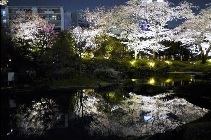 Flower viewing tour in Spring — photo 11