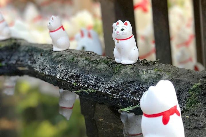 Private Tour - Thousands of lucky cats! Go by tram, Gotokuji Tour — photo 6