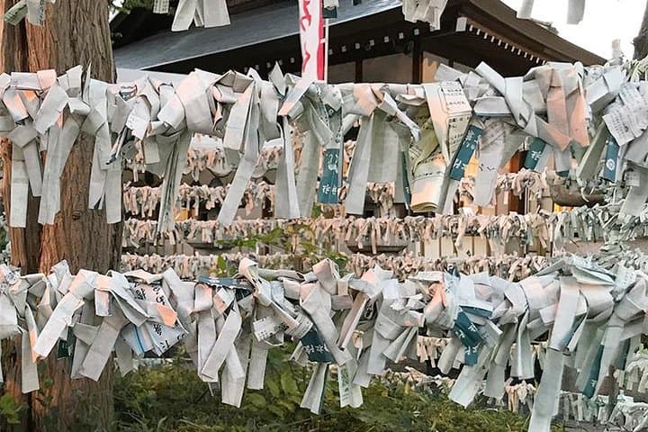 Private Tour - Thousands of lucky cats! Go by tram, Gotokuji Tour — photo 9