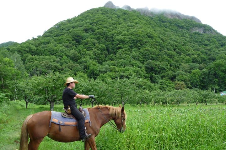 Horseback-Riding in a Country Side in Sapporo - Private Transfer is Included — photo 3