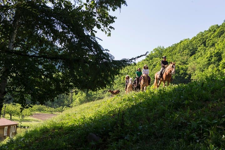 Horseback-Riding in a Country Side in Sapporo - Private Transfer is Included — photo 8