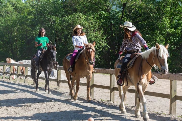 Horseback-Riding in a Country Side in Sapporo - Private Transfer is Included — photo 4