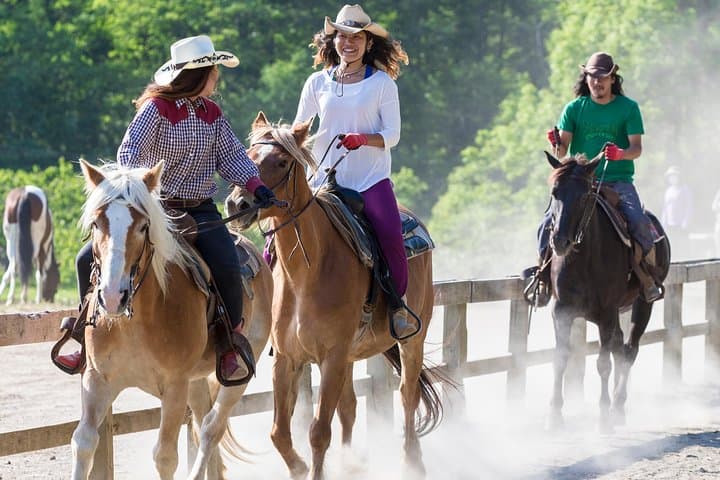 Horseback-Riding in a Country Side in Sapporo - Private Transfer is Included — photo 6