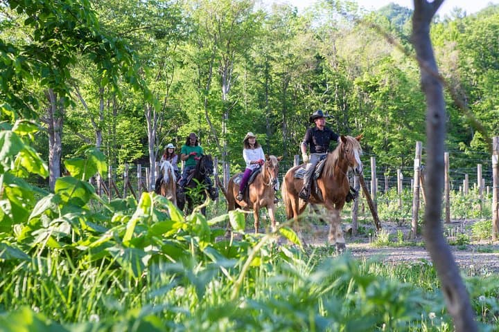 Horseback-Riding in a Country Side in Sapporo - Private Transfer is Included — photo 7