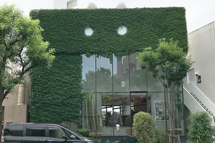 Enjoy your first visit to Okinawa! Explore Naha's traditions — photo 9