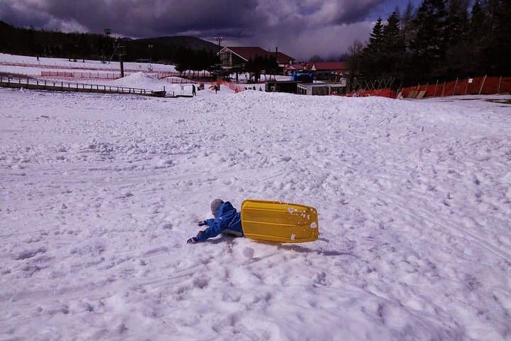 Strawberry Picking and Snow experience at Mt Fuji ski resort for VIP — photo 3