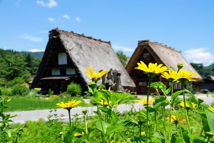 Private Tour of Shirakawago from Kanazawa (Half Day) — photo 10