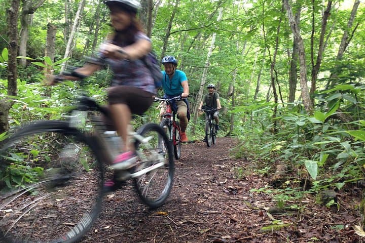 Mountain Bike Tour from Sapporo Including Hoheikyo Onsen and Lunch — photo 2